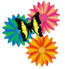 animated gif butterflies