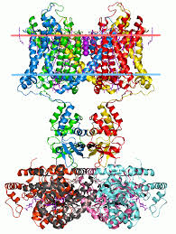 File:2r9r opm.gif