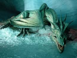 photos real dragons