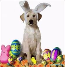 Chien%2520de%2520Paques