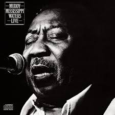 muddy waters mannish boy