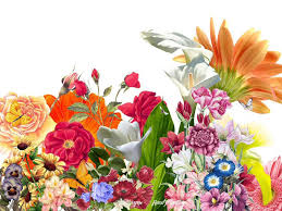 Flower1