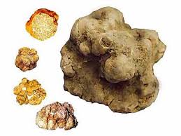 Varieties of Truffles
