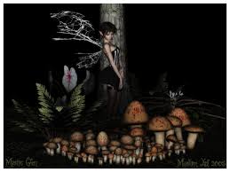 большие обои для рабочего стола