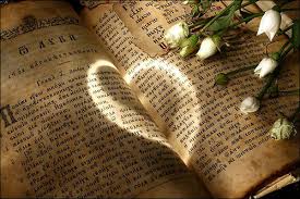 book love