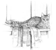 drawings of cats