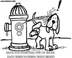 It seems that today I got up