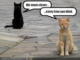 funny pictures that move