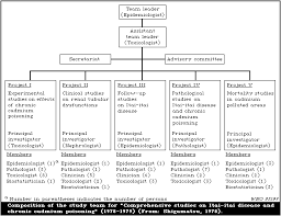 chronic cadmium poisoning;