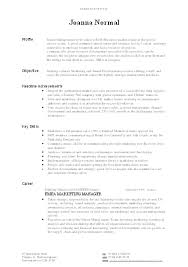 cv example