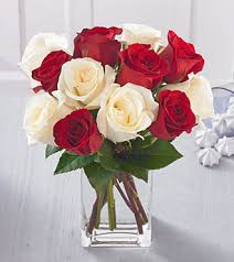 red white roses