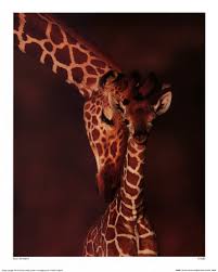 giraffe art