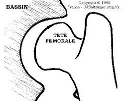Afficher l'image en taille réelle