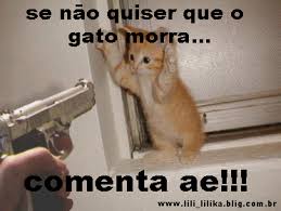 Escola Shippuuden Comenta_ou_gato_morre