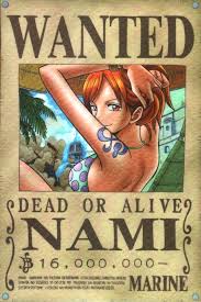 --One Piece-- Nami-1