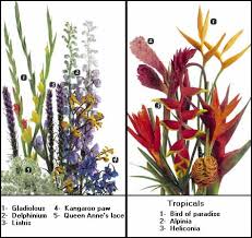flower guide