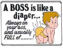 funny toons