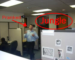 Jungle Office Prank