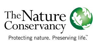 The Environmental