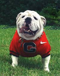 Lorans Best, UGA VII!