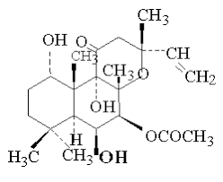 Makandi Root,Forskolin.5:1