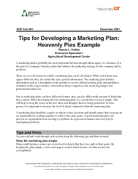 example marketing plan