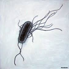 E.Coli Stories