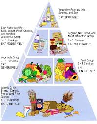 Food Pyramid