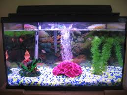 tropical fishtank