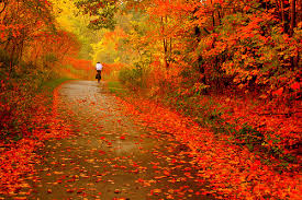 Autumn Ride !