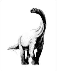 mokele