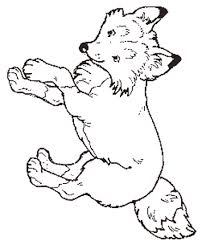 fox coloring sheets