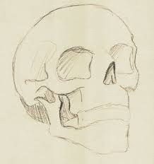 how to draw a skull