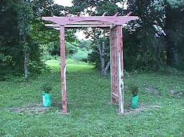 climbing rose trellis