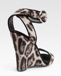 dolce gabbana leopard