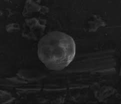 mesocarbon microbead, carbon bead, spherical carbon fine particle, carbosphere, spherical carbon powder, spherical carbon particles,  spherical round ball, mcmb, CAS# 7782-42-5,