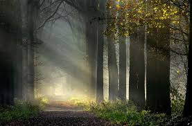A Spiritual Journey