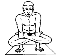 Kukkuta asana: Taking the