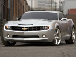 ������ ���� 2009