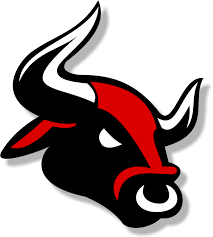 bull tattoo design