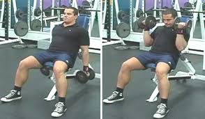 incline dumbbell curl