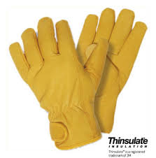 briers gloves