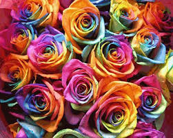 cool colorful pictures