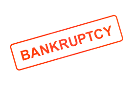 for Chapter 11 bankruptcy