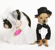 funny wedding poems