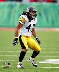 troy polamalu