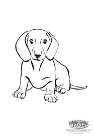 mammal coloring pictures