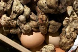 White truffles have landed on