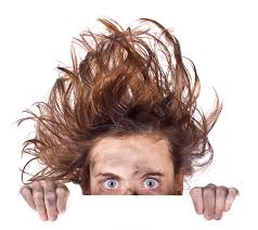 bad_hair_day.jpg