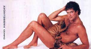 david hasselhoff picture by